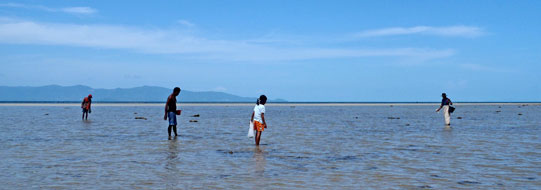 หาดบ้านใต้_เกาะพะงัน_13